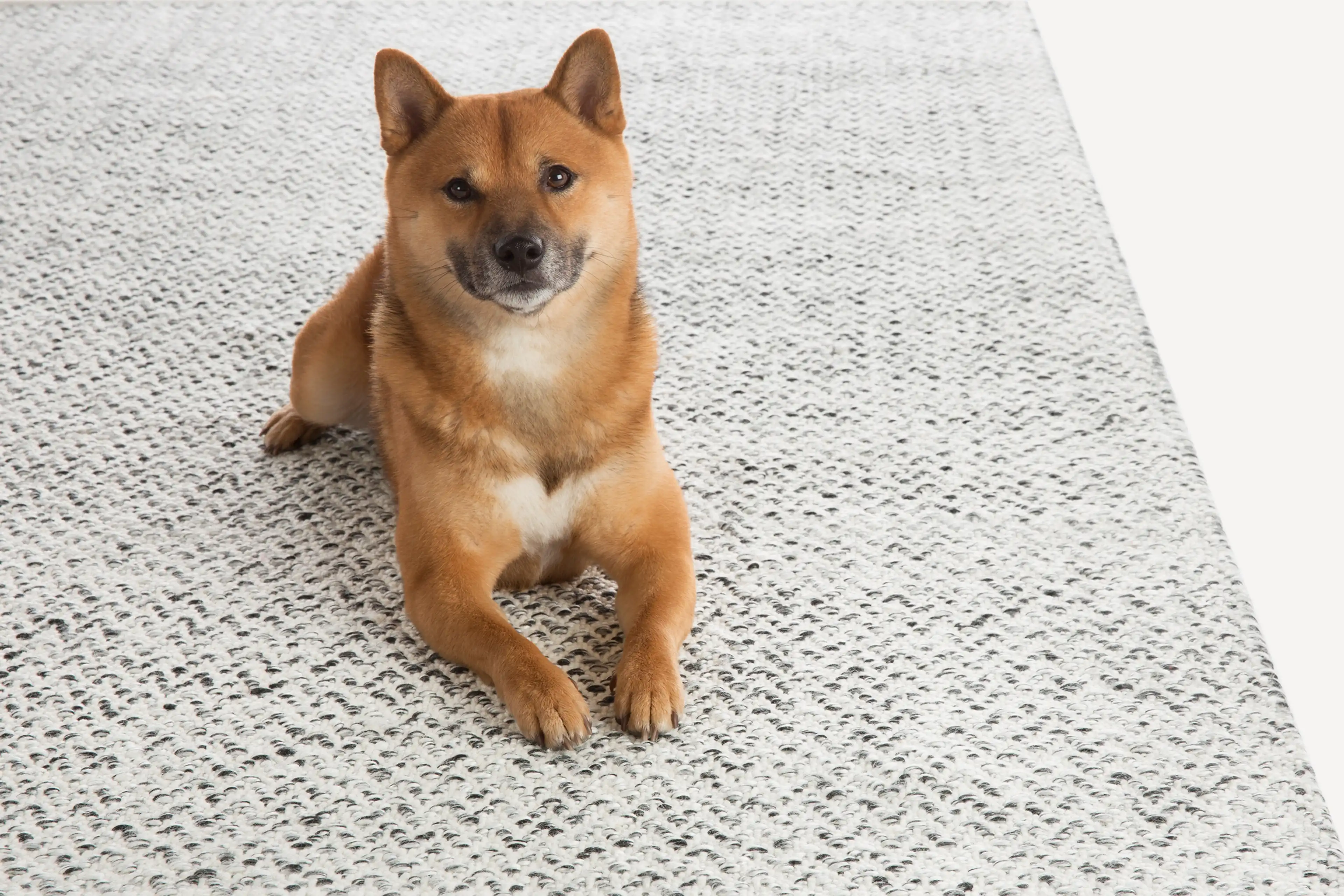 Cape House Indoor/Outdoor Rug 14 Cape House Indoor/Outdoor Rug