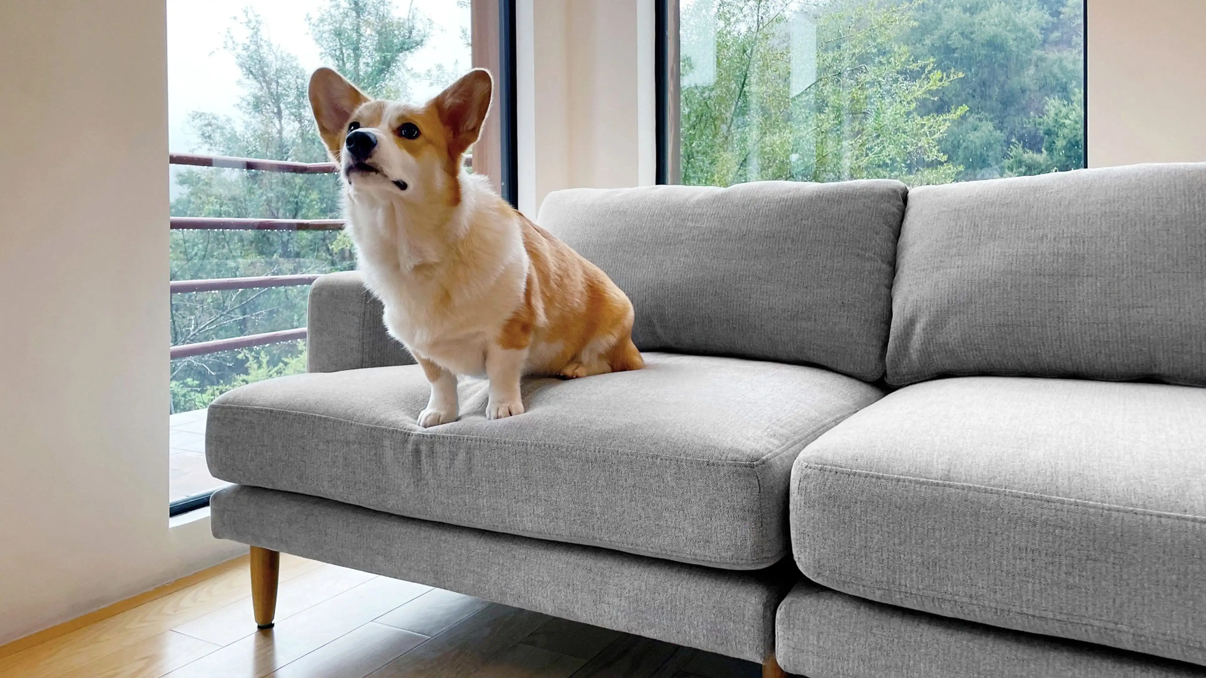 Ember Sofa 10 Ember Sofa